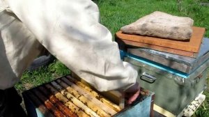 Установка вощины разных производителей часть 1