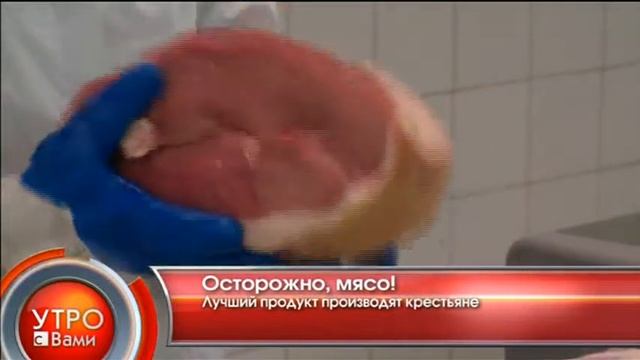 Осторожно, мясо! - "Утро с Вами" 20.06.2013 смотреть онлайн