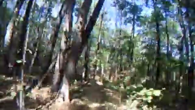 Авальман 040910 сингл трек смотреть онлайн