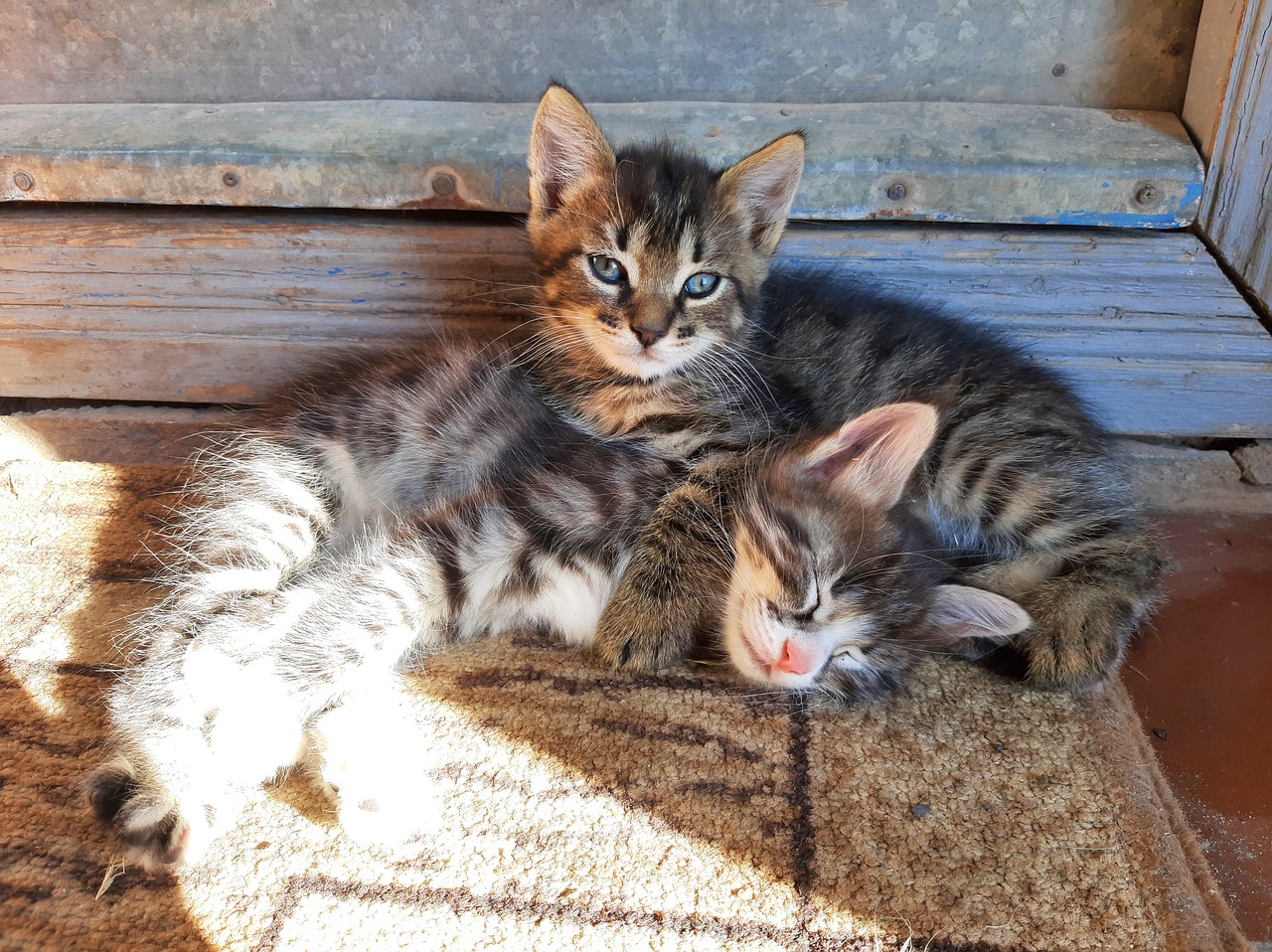 Гордость это..., о гордыни и гордости