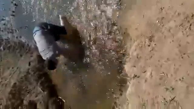 Ловля сазана в Астрахани руками смотреть онлайн