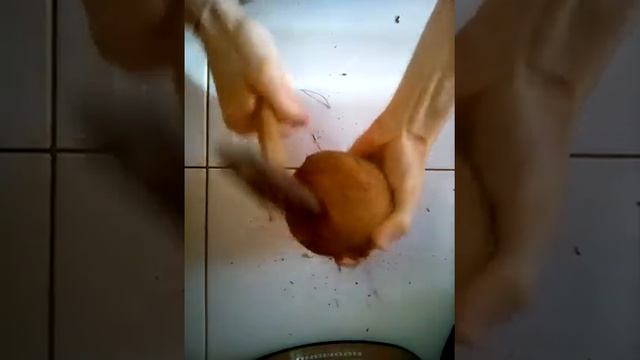 Как грамотно и быстро очистить кокос от скорлупы. смотреть онлайн