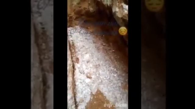 Мой будущий 🏠 дом смотреть онлайн