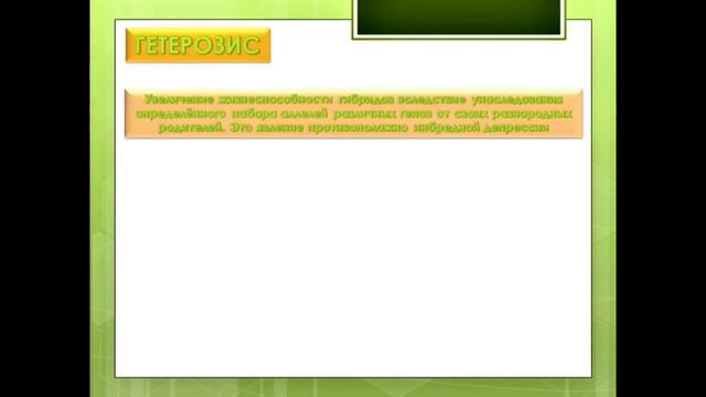 Селекция растений? видеоурок. смотреть онлайн