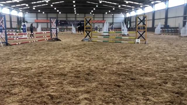 90cm Clear Show Jumping смотреть онлайн