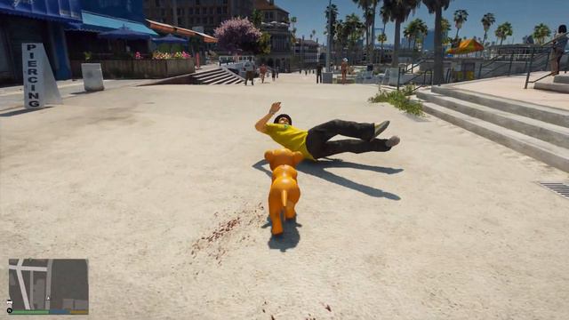 Water Ragdolls GTA 5 The Lion King Kiara (Euphoria physics) смотреть онлайн