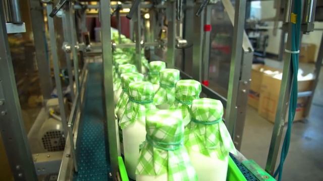 «PRO ОБРАЗОВАНИЕ». Механизация в производственном процессе современного агрохолдинга («Залесье»)