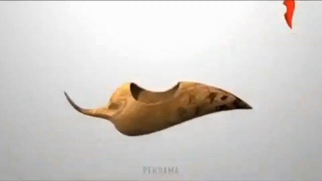 Короткая заставка "Дерево" (Перец, 31.07-11.11.2015) смотреть онлайн