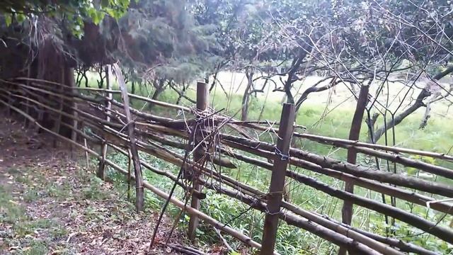 Лес близ пос. Цитрусовый в Абхазии. Весна 2016 смотреть онлайн