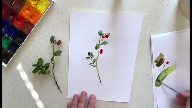 Рисуем бруснику акварелью.