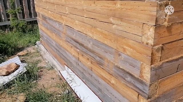 Потолок в бане напугал! Неужто всё зря? Немного о хвойных саженцах и времени их пересадки. смотреть онлайн