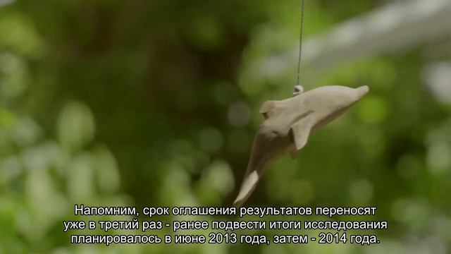 Через год россияне узнают, эффективен ли на самом деле Арбидол