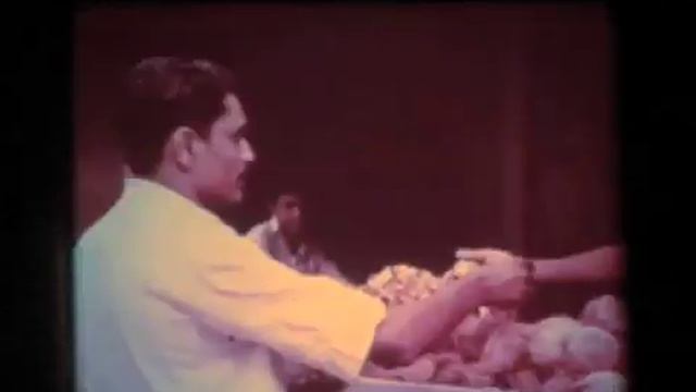 lumberjack song смотреть онлайн