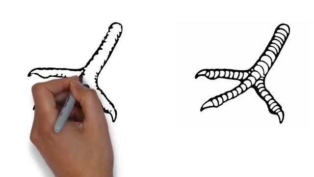 How to draw chicken feet easy for kids Mr drawing смотреть онлайн