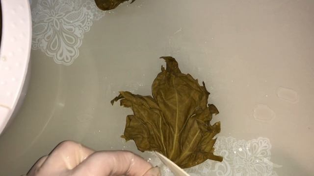 Азербайджанская долма смотреть онлайн