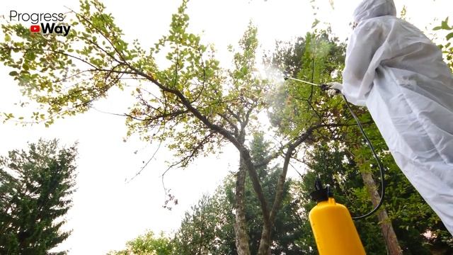 Обработайте ТАК сад ПЕРЕД ЗИМОЙ! Классический рецепт искореняющей обработки смотреть онлайн