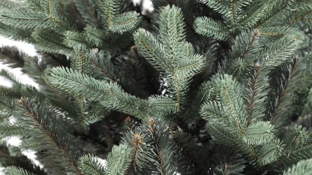 Искусственная елка Макс Кристмас Верона смотреть онлайн