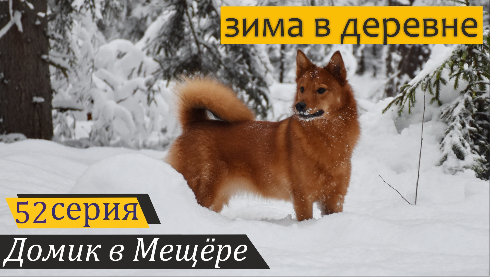 Как мы зимуем с Лесей, гусятами и курочками. Домик в Мещёре, серия 52 смотреть онлайн
