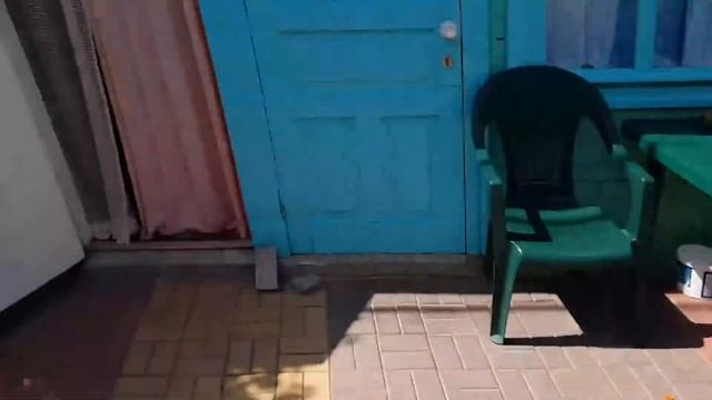 Ейск, жилье , цену можно снизить если поторговатся . смотреть онлайн