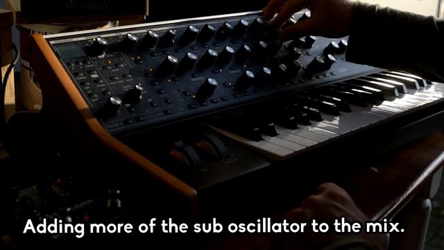 Moog Subsequent 37 // Evening jam with the Source Audio Collider смотреть онлайн