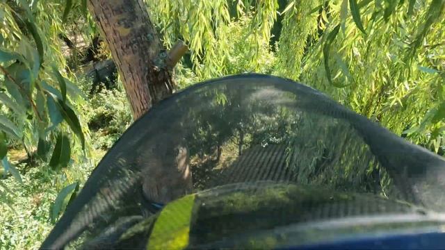 Арбористика‼️Аккуратное удаление дерева по частям рядом с домом и беседкой,измельчение веток на щеп смотреть онлайн