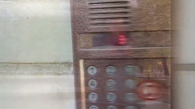 Алевтина Кайгородова смотреть онлайн