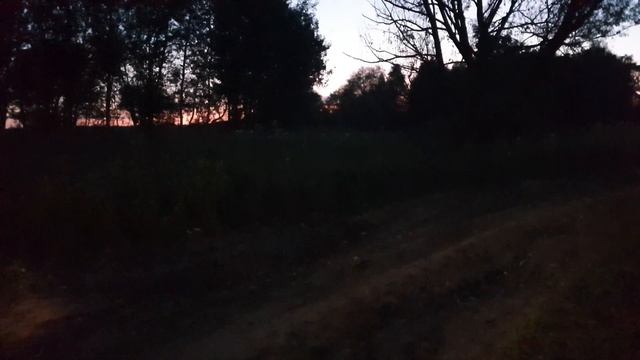 поехала одна нашла мертвого ворона и застряла went alone met a dead crow and got stuck in the mud смотреть онлайн
