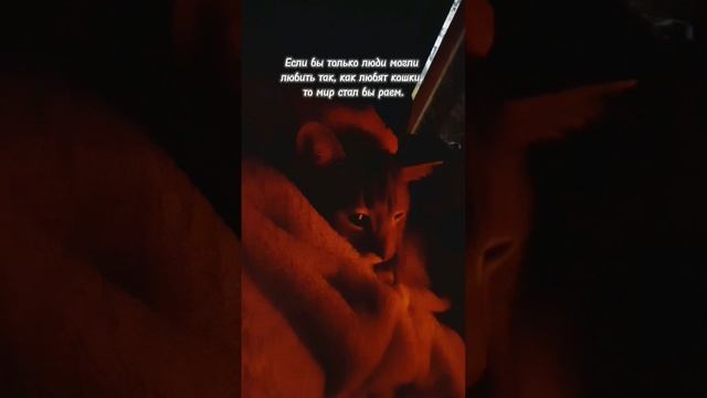 YouCut_20240107_125437642.mp4