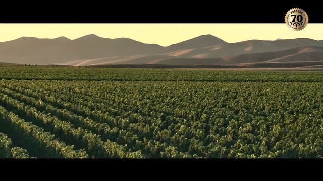 Бахус Казахстан 70 лет