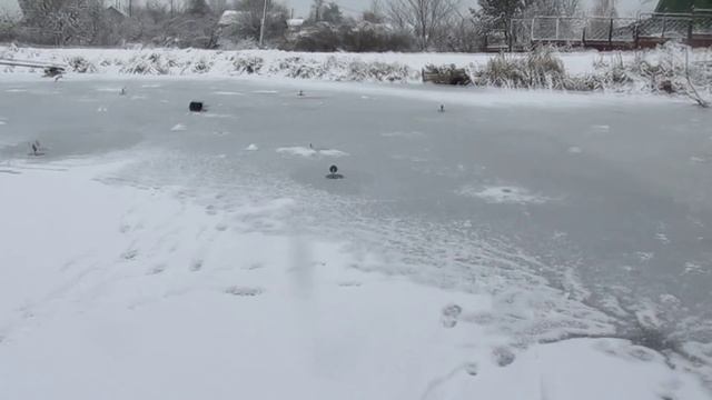 Снова на лёд! (Ловля плотвы на безмотылку) смотреть онлайн