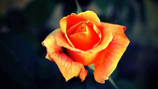 Лучшие русские мелодии и видео 2015 года смотреть онлайн