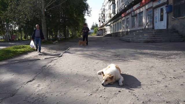 Летняя Сегежа смотреть онлайн