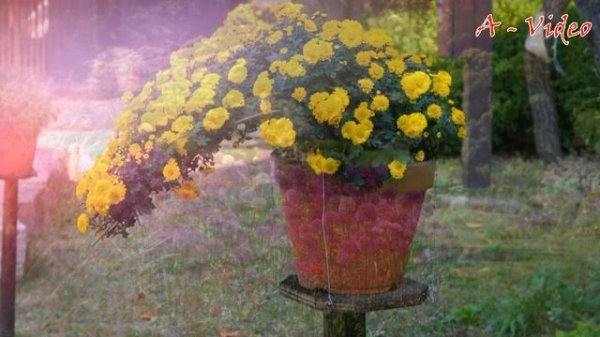 ?Оригинальные примеры ландшафтного дизайна / Beautiful ideas for landscape design / A - Video