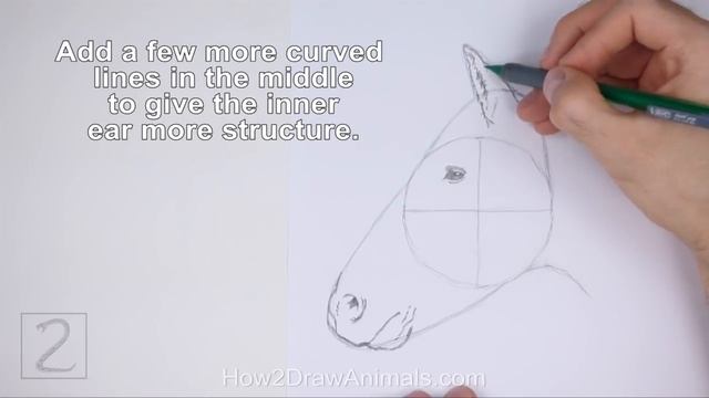 How to Draw a Horse (Head Detail) смотреть онлайн