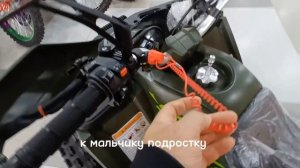 Квадроцикл shark 150 PRO [шарк]