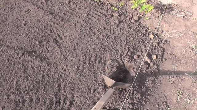 ЭФФЕКТИВНЫЙ СПОСОБ ПОСАДКИ РАССАДЫ ОВОЩЕЙ В ОТКРЫТЫЙ ГРУНТ смотреть онлайн