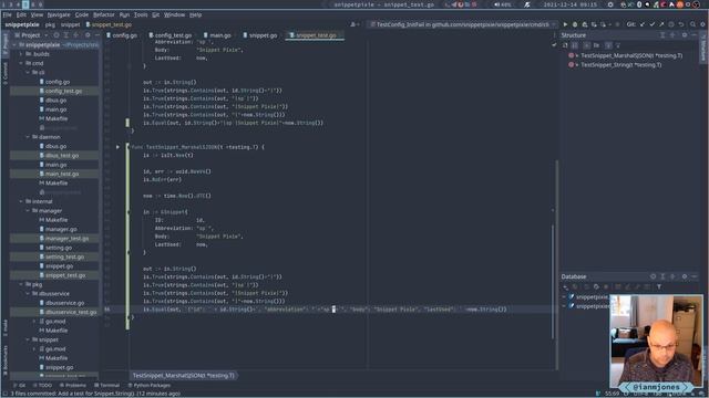 Snippet Pixie: Next - Implement Go's json Marshaller interface for Snippets | Always Developing #99 смотреть онлайн