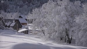 Встреча с медведем шатуном в лесу. Таежные истории про медведей. Аудио рассказы. Случай в тайге