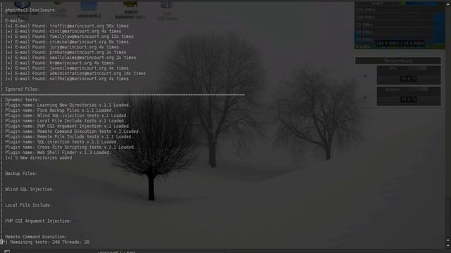 Uniscan 6.1 RCE Vulnerability in a windows machine смотреть онлайн