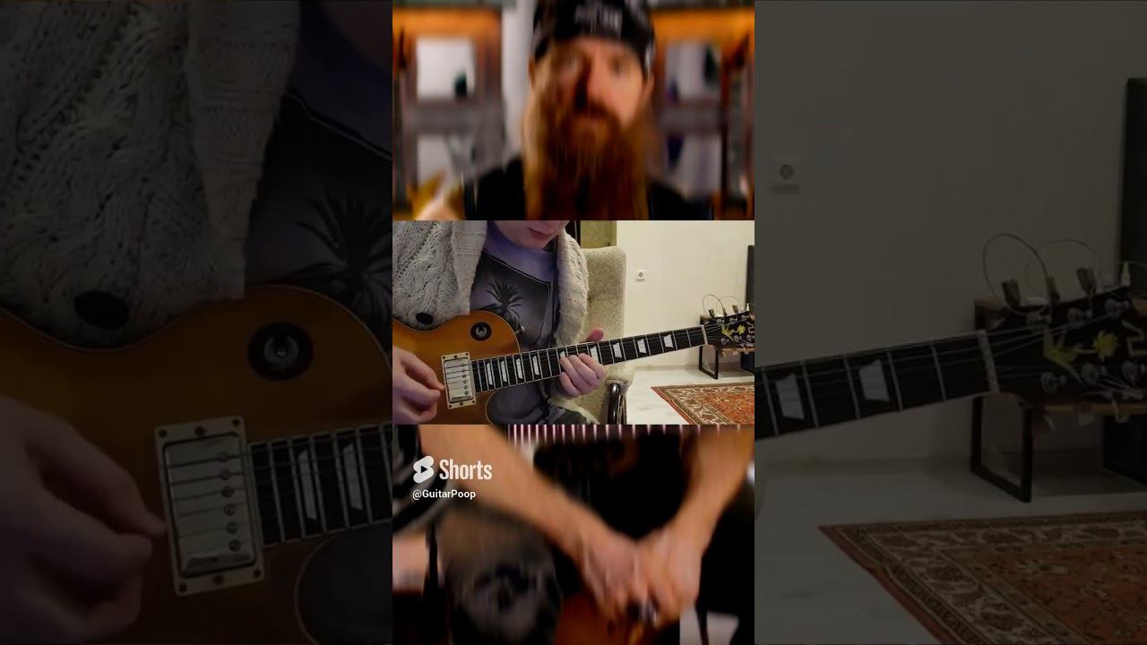 Zakk Wylde - iconic guitar solo смотреть онлайн