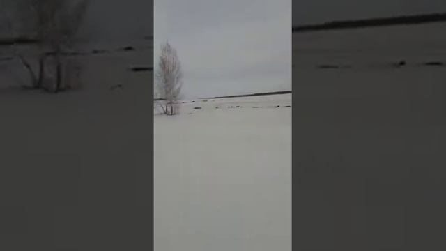 Буран с двигателем Lifan 13 лс. смотреть онлайн