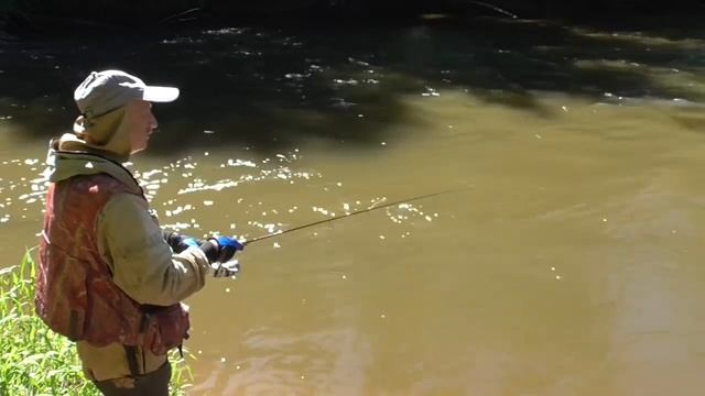 Открыл сезон Голавля и испытал подаренную блесну. смотреть онлайн