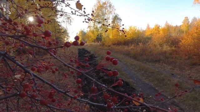 Осень октябрь смотреть онлайн