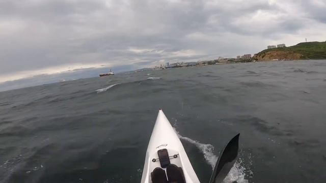 Surfski downwind Vladivostok — 22.08.21 смотреть онлайн