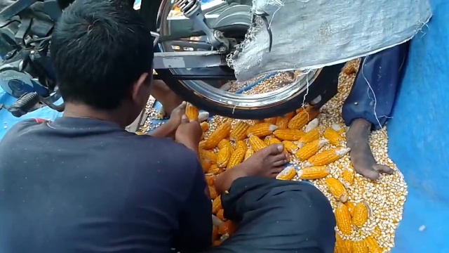  Инновационный способ добычи зерен кукурузы смотреть онлайн