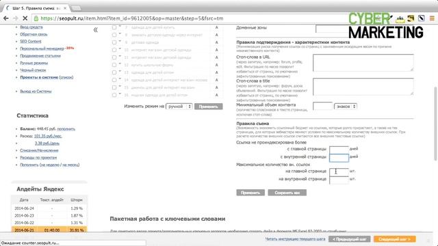Дополнительный функционал автоматического режима системы SeoPult