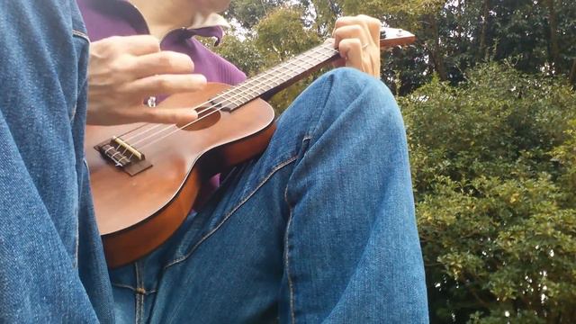 ukulele solo A hard days night (BEATLES) 2017.03.05 смотреть онлайн