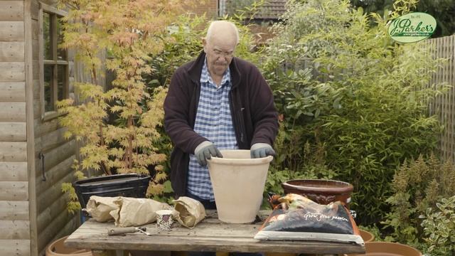 How to Plant Crown Imperial Fritillaria: Spring Garden Guide смотреть онлайн