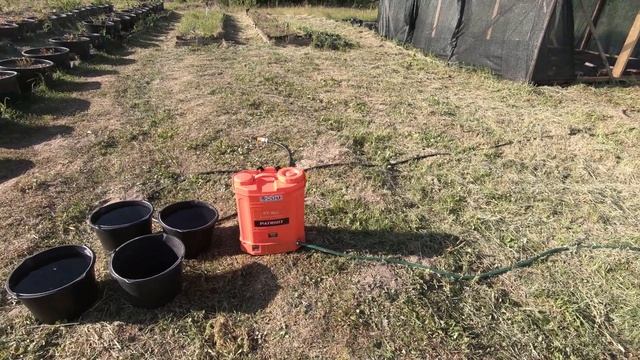 Лучший способ внесения жидких удобрений смотреть онлайн