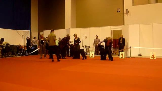 24.11.2012 Нижний Новгород смотреть онлайн